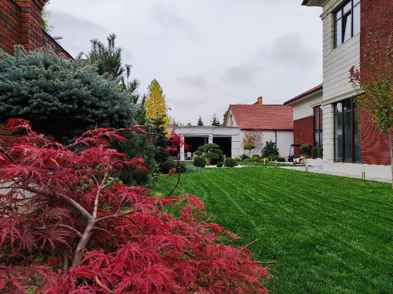 Гарний газон у листопаді. 5 простих кроків