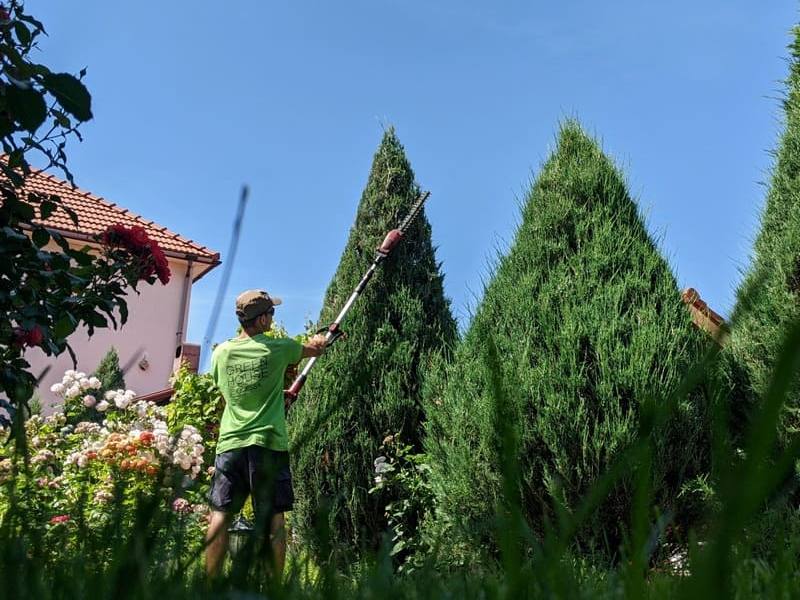 Весняний запуск саду. Підготовка до сезону
